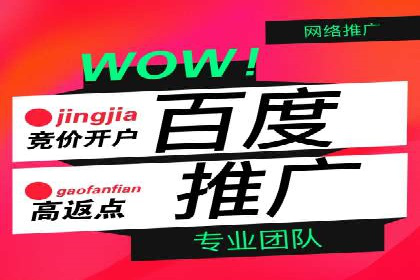 百度竞价代理全攻略：成功案例分享